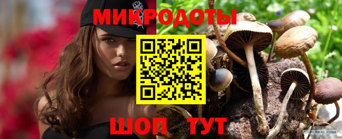 Галлюциногенные грибы Psilocybe  Вход с VPN  Отрадный  Псилоцибиновые грибы GOLDEN TEACHER 